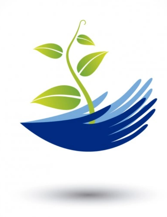 Spot Plant